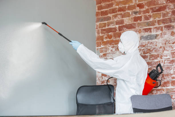 Best Post-Remediation Verification Testing  in Windcrest, TX